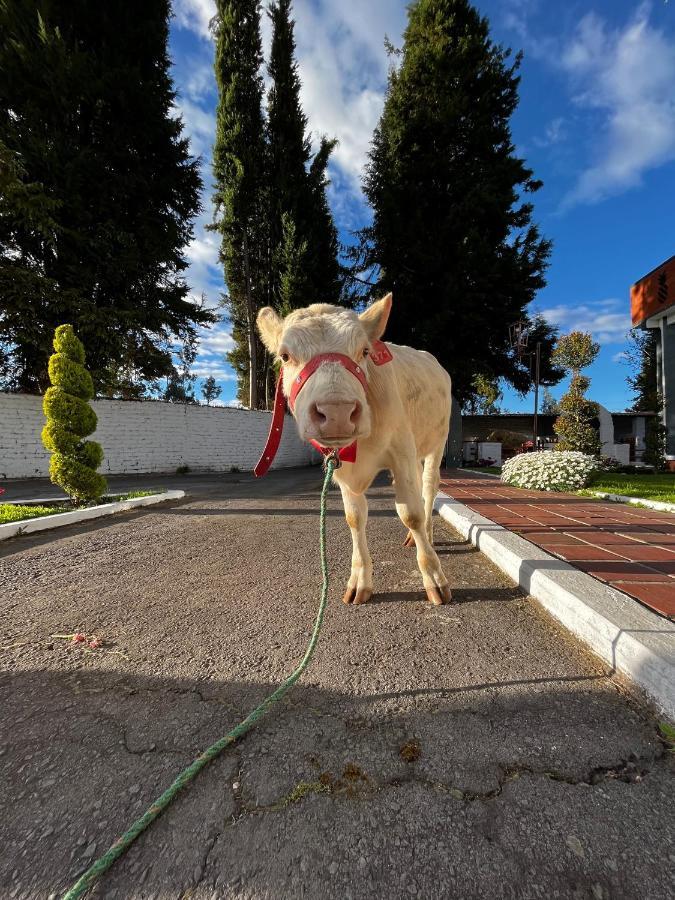 Hosteria El Troje Experience Риобамба Экстерьер фото